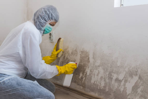 Best Airborne Mold Testing  in Butler, NJ