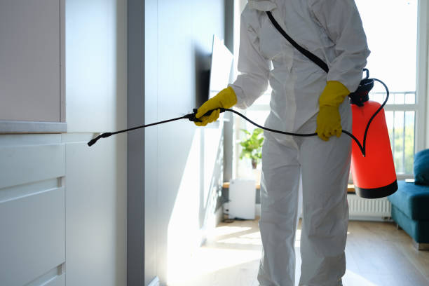 Best Commercial Mold Inspection  in Butler, NJ