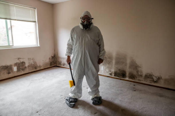 Mold Odor Removal Services in Butler, NJ
